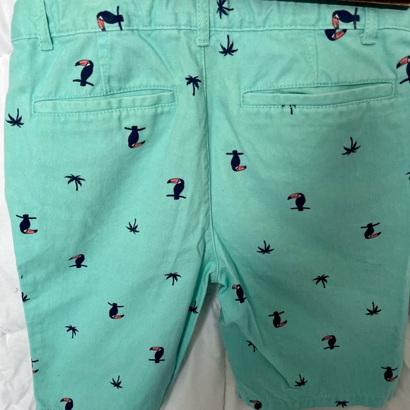 Boys Shorts. Cute flamingo pattern - Picture 2 of 3